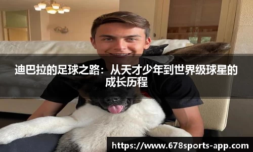 678体育官网
